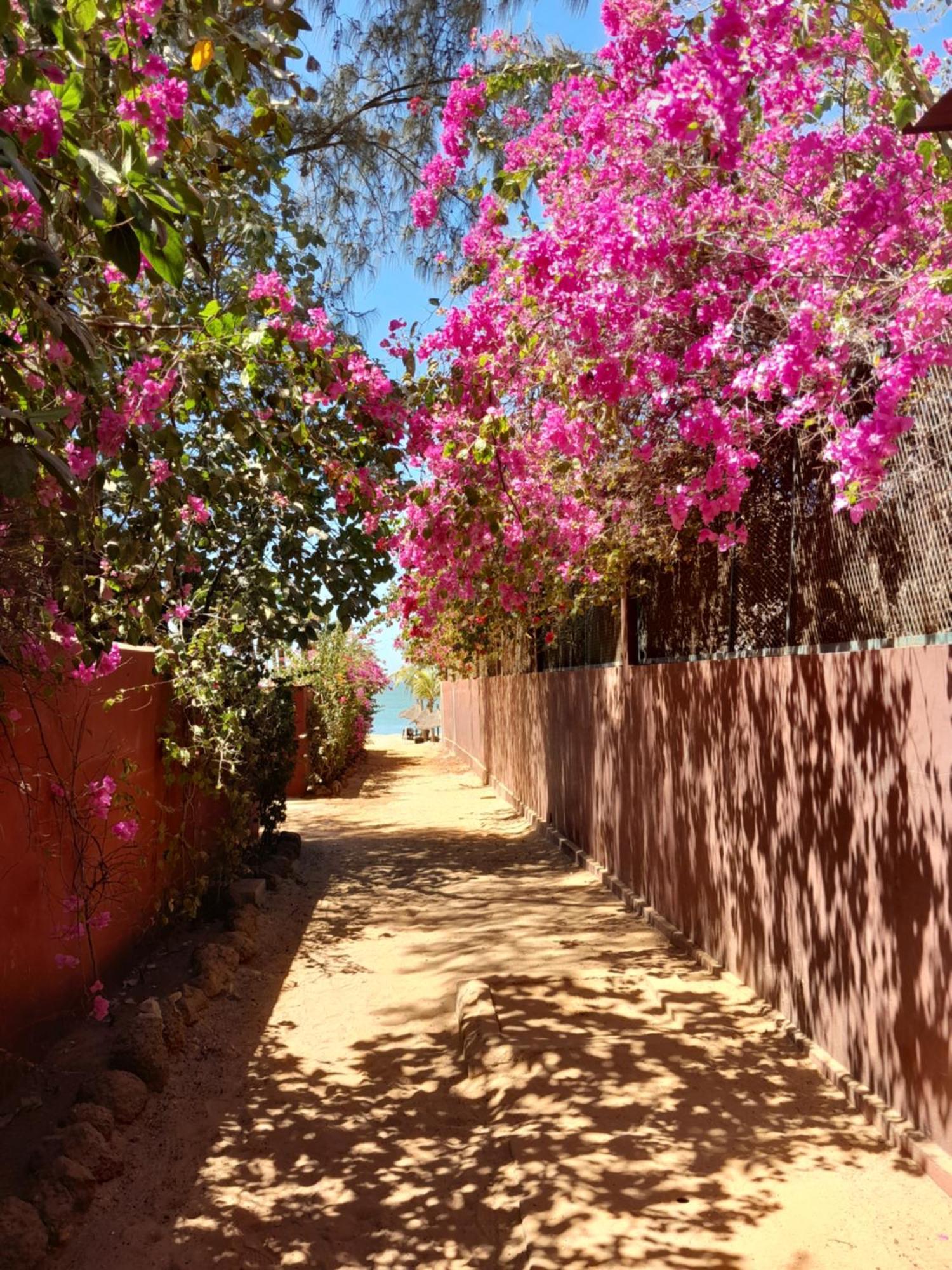 Apartamento L'Eden Saly Exterior foto